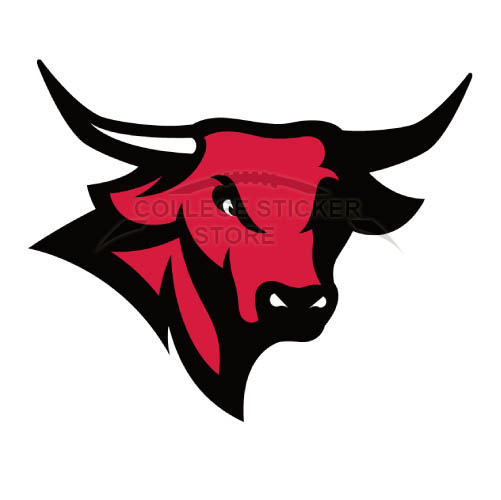 Personal Nebraska Omaha Mavericks Iron-on Transfers (Wall Stickers)NO.5390